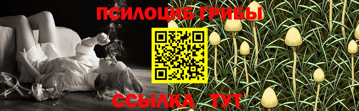 Псилоцибиновые грибы Magic Shrooms Валуйки