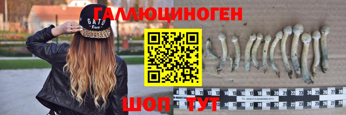 Валуйки  Псилоцибиновые грибы Psilocybe  Вход с VPN 